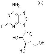 2-氯腺嘌呤核苷.jpg